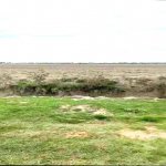 Satılır Obyekt Xaçmaz 25