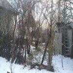 Satılır Torpaq Qəbələ 2