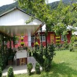 Kirayə (günlük) 4 otaqlı Bağ evi Qax 5
