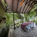 Kirayə (aylıq) 3 otaqlı Həyət evi/villa Qəbələ 11