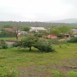 Satılır Torpaq Qəbələ 13