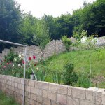 Kirayə (günlük) 3 otaqlı Bağ evi Qusar 7