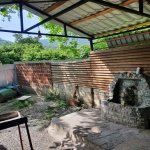 Kirayə (günlük) 3 otaqlı Həyət evi/villa İsmayıllı 19