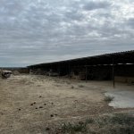 Satılır Torpaq, Novxanı, Abşeron rayonu 6