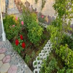 Kirayə (aylıq) 3 otaqlı Bağ evi, Abşeron rayonu 40