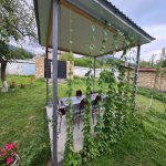 Kirayə (günlük) 4 otaqlı Həyət evi/villa Qəbələ 29