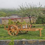 Kirayə (günlük) 3 otaqlı Həyət evi/villa Qəbələ 1