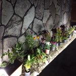Kirayə (günlük) 4 otaqlı Həyət evi/villa Quba 5