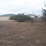 Satılır Torpaq, Maştağa qəs., Sabunçu rayonu 11