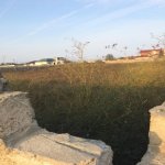 Satılır Torpaq, Nardaran qəs., Sabunçu rayonu 1