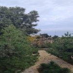 Satılır Torpaq Xaçmaz 17