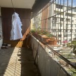 Satılır 3 otaqlı Köhnə Tikili, Əhmədli metrosu, Xətai rayonu 10