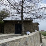 Satılır 10 otaqlı Bağ evi Şamaxı 54