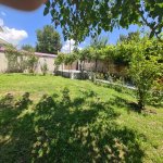 Kirayə (günlük) 3 otaqlı Həyət evi/villa Qəbələ 7