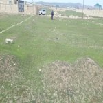 Satılır Torpaq, Qobu, Abşeron rayonu 2