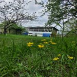 Продажа Участок Гябяля 6