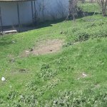 Satılır Torpaq, Saray, Abşeron rayonu 3