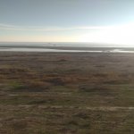 Satılır Torpaq, Zirə, Aviasiya Akademiyası Universiteti, Xəzər rayonu 5