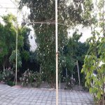 Kirayə (aylıq) 5 otaqlı Həyət evi/villa, Binəqədi rayonu 4