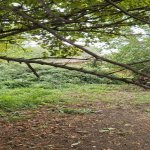 Satılır 3 otaqlı Həyət evi/villa Tərtər 21