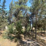 Satılır Torpaq, Mərdəkan, Xəzər rayonu 3
