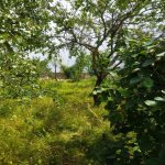 Satılır 4 otaqlı Bağ evi Quba 16