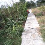 Kirayə (günlük) 4 otaqlı Həyət evi/villa İsmayıllı 31