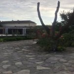 Kirayə (aylıq) 12 otaqlı Bağ evi, Mərdəkan, Xəzər rayonu 5