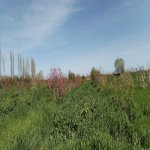 Продажа Участок Хачмаз 28