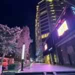 Аренда 2 комнатная Новостройка, м. Нариман Нариманов метро, Наримановский р-н район 13