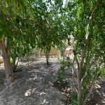 Satılır 6 otaqlı Bağ evi, Mərdəkan, Xəzər rayonu 8