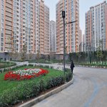 Kirayə (aylıq) 3 otaqlı Yeni Tikili, Yasamal rayonu 15