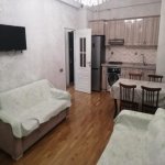 Kirayə (aylıq) 2 otaqlı Yeni Tikili, Neftçilər metrosu, 8-ci kilometr, Nizami rayonu 1