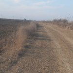 Satılır Torpaq Salyan 4