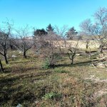 Satılır Torpaq, Novxanı, Abşeron rayonu 5