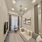 Satılır 2 otaqlı Yeni Tikili, Nərimanov rayonu 2