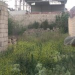 Satılır Torpaq, Novxanı, Abşeron rayonu 5