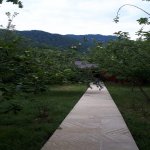Kirayə (günlük) 3 otaqlı Həyət evi/villa İsmayıllı 9