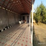 Kirayə (günlük) 3 otaqlı Həyət evi/villa Qəbələ 16