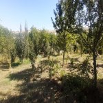 Kirayə (aylıq) 3 otaqlı Həyət evi/villa Şamaxı 5
