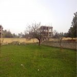 Satılır Torpaq Qəbələ 5