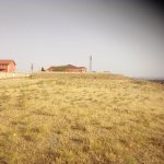 Satılır Torpaq, Fatmayi, Nazlı şadlıq sarayı, Abşeron rayonu 3