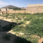 Satılır Torpaq, Avtovağzal metrosu, Novxanı, Abşeron rayonu 6