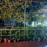 Продажа 3 комнат Дома/Виллы, Мярдякан, Хязяр район 1