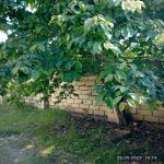 Kirayə (günlük) 1 otaqlı Həyət evi/villa Qusar 5