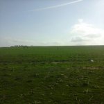 Satılır Torpaq, Masazır, Abşeron rayonu 3
