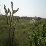 Satılır Torpaq Quba 5