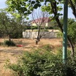 Satılır Torpaq, Saray, Abşeron rayonu 11