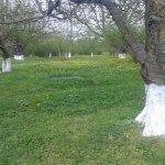 Satılır 3 otaqlı Bağ evi Xaçmaz 12