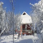 Kirayə (günlük) 3 otaqlı Həyət evi/villa Qəbələ 6